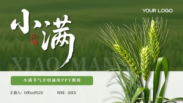绿色小满节气介绍通用模板