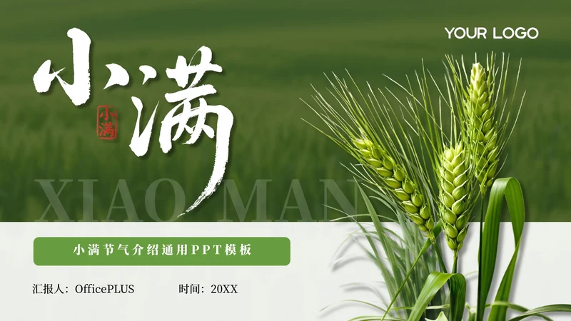 绿色小满节气介绍通用模板