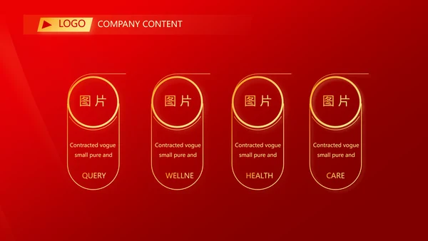 爱国红色喜庆背景欢迎领导莅临指导动态PPT