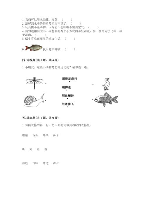教科版一年级下册科学期末测试卷【必刷】.docx