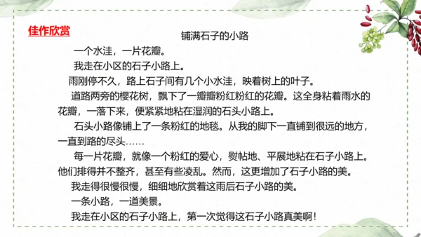 5 《铺满巴掌的水泥道》仿写指导课件