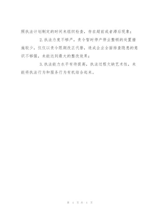 行业企业安全生产行政执法工作总结.docx