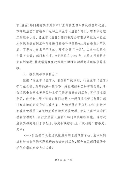 市自查自纠的工作计划方案.docx