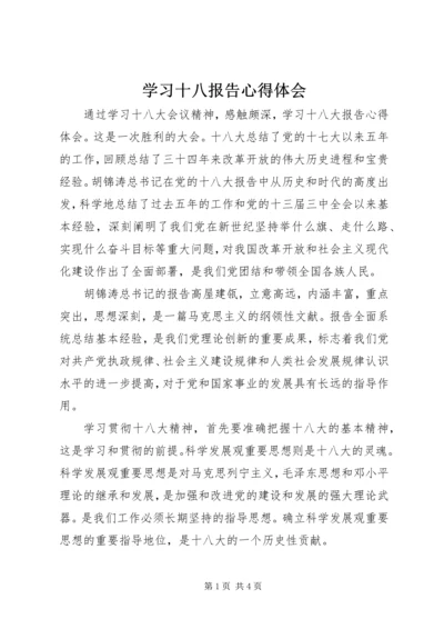 学习十八报告心得体会 (4).docx