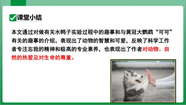 17.动物笑谈（课件）【2023秋人教七上语文高效实用备课】(共33张PPT)