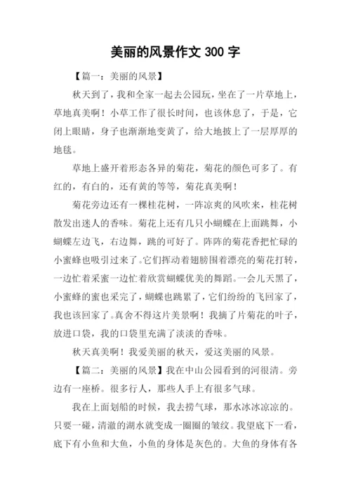 美丽的风景作文300字.docx