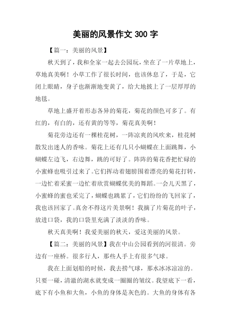 美丽的风景作文300字.docx