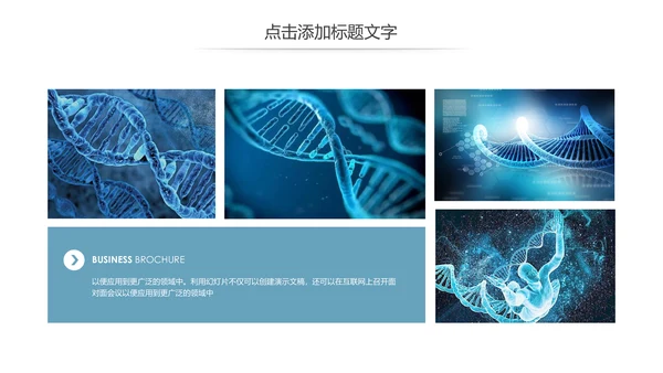 基因生物化学医疗医学DNA学术研究报告PPT模板
