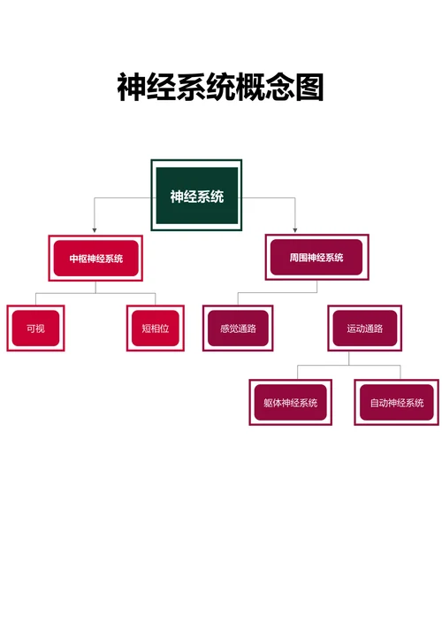 神经系统概念图