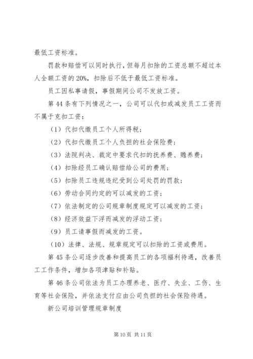 新公司规章制度范本.docx