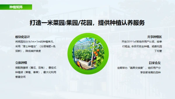 新城市农家小院策划案通用PPT