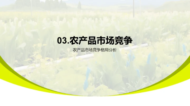 农产品市场洞察解析