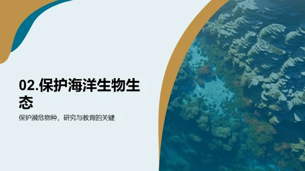 海洋卫士：水族馆与企业