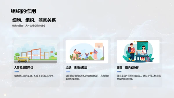 解析人体科学PPT模板