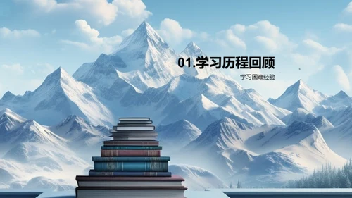 学习历程与策略