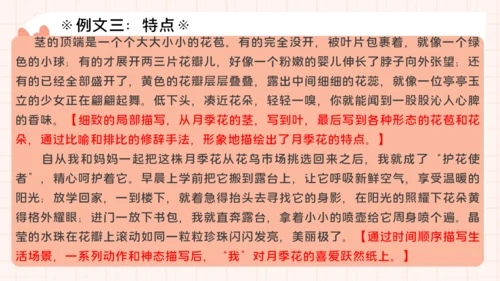 统编版语文三年级下册统编版习作：我的植物朋友 （课件）