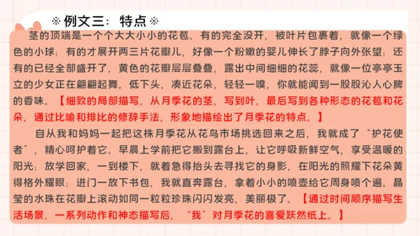 统编版语文三年级下册统编版习作：我的植物朋友 （课件）
