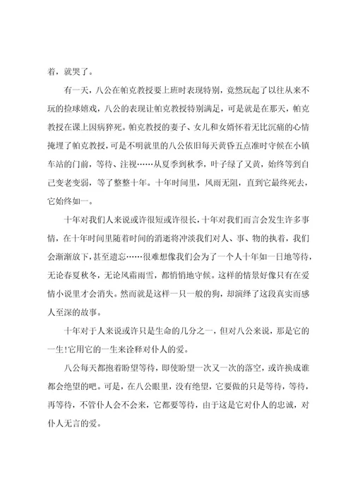 忠犬八公的观后感范文400字