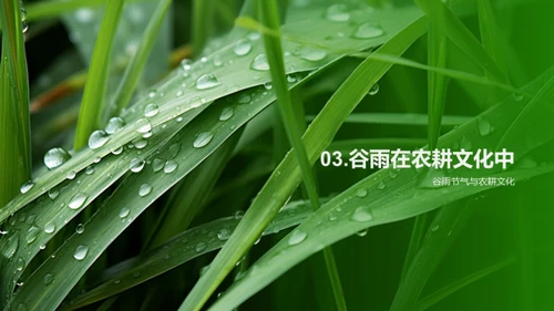 深度解读谷雨节气