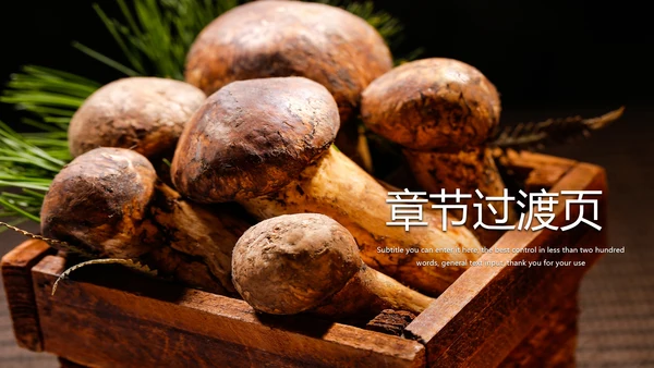 蘑菇菌类养生文化宣传动态PPT模板