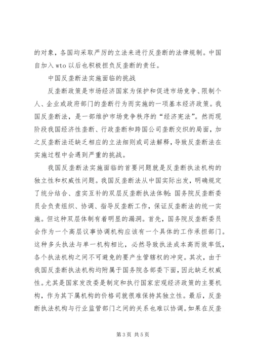 反垄断工作报告 (2).docx