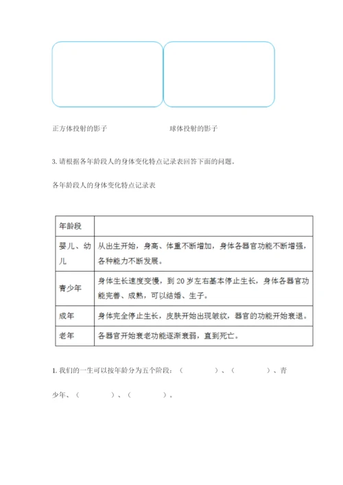 教科版科学三年级下册期末测试卷含答案（实用）.docx