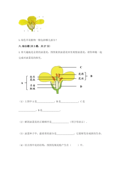 教科版科学四年级下册第一单元《植物的生长变化》测试卷精品（典型题）.docx