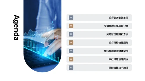 金融风险解析与管控