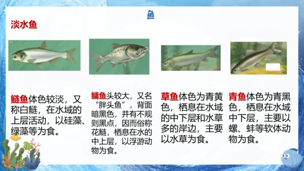 人教版生物七年级上册2.2.2《脊椎动物》课件(共22张PPT)+视频素材
