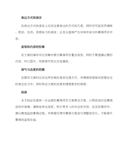 募捐项目文案策划方案.docx