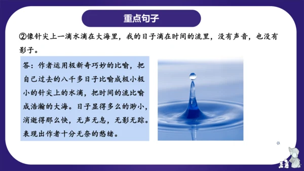 统编版六年级语文下学期期中核心考点集训第三单元（复习课件）