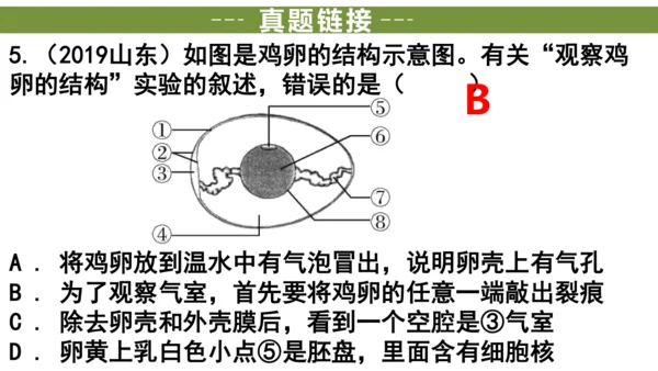 八下 第七单元复习课件(共58张PPT)