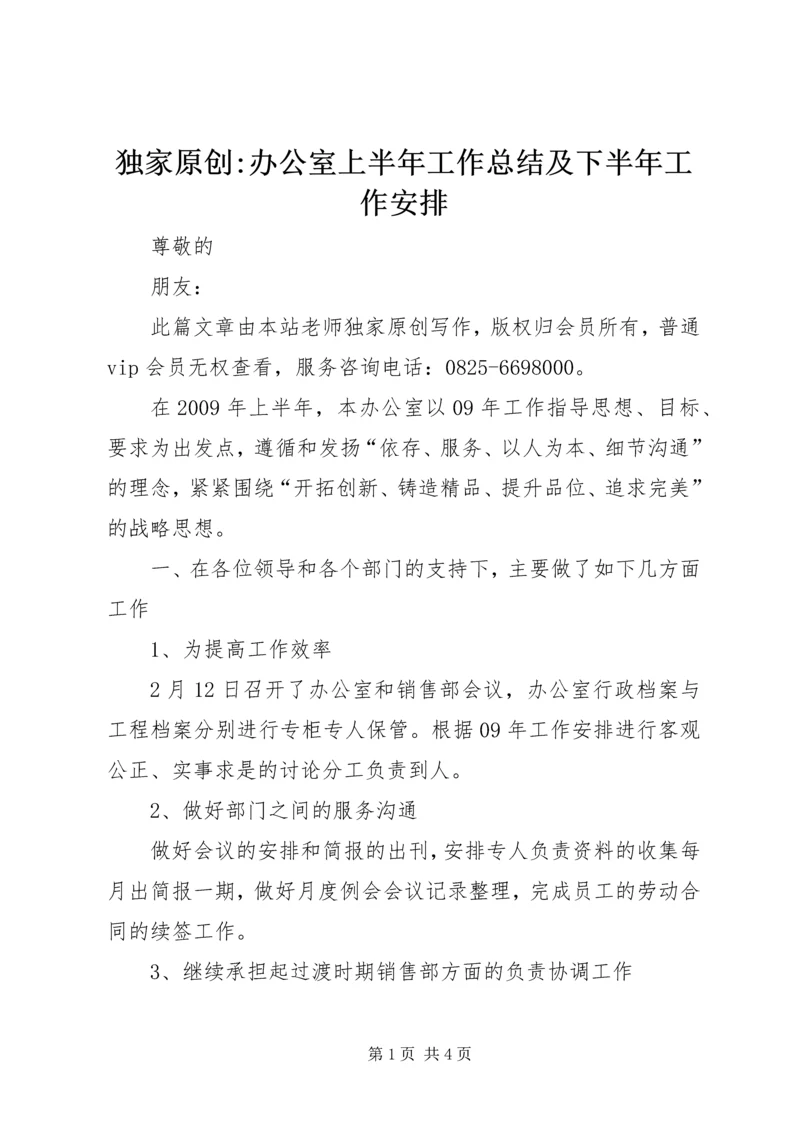 独家原创-办公室上半年工作总结及下半年工作安排.docx