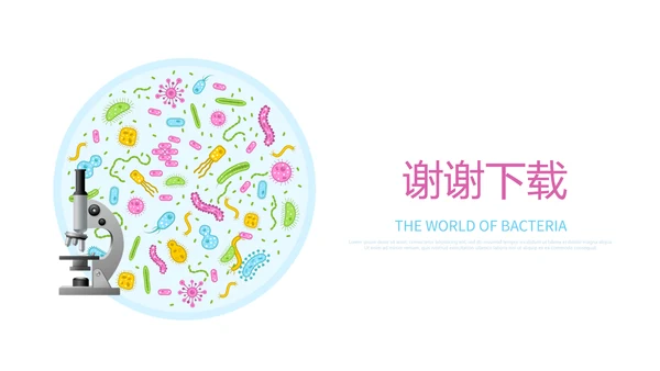 生物学细菌细胞动态PPT