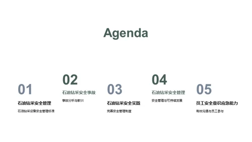石油安全之典范
