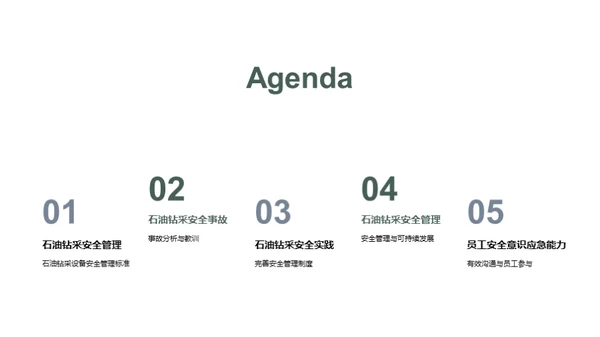 石油安全之典范