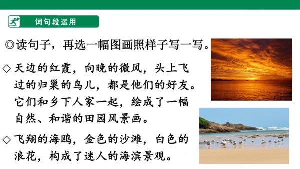 语文园地一 课件