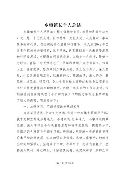 乡镇镇长个人总结.docx