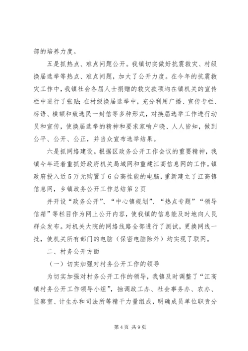 乡镇政务公开工作总结_1.docx