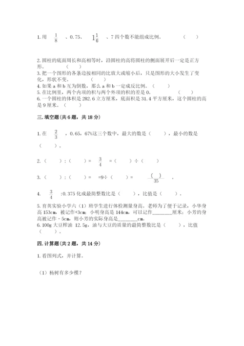 哈尔滨市双城市六年级下册数学期末测试卷必考题.docx