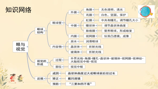 初中生物学人教版（新课程标准）七年级下册4.6.1人体对外界环境的感知课件(共33张PPT)