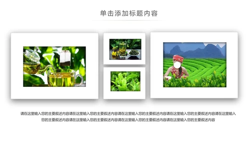 清新绿茶红茶茶叶茶厂茶文化茶道春茶PPT