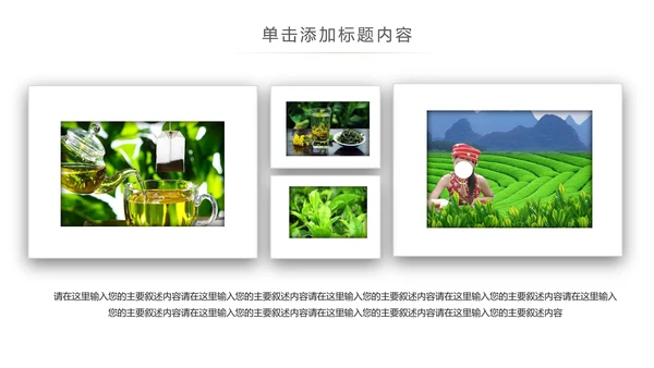 清新绿茶红茶茶叶茶厂茶文化茶道春茶PPT