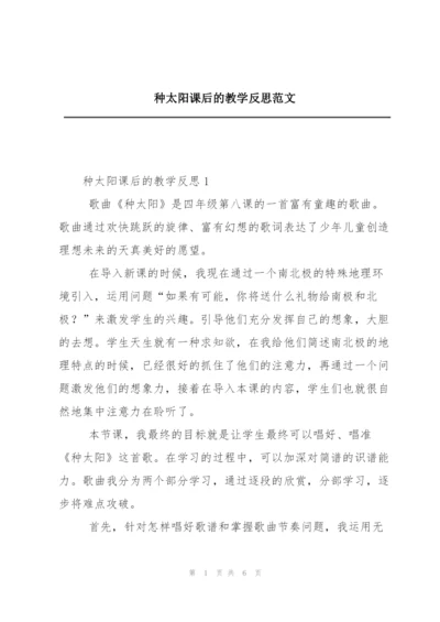 种太阳课后的教学反思范文.docx