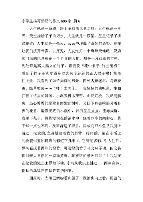 小学生描写奶奶的作文600字