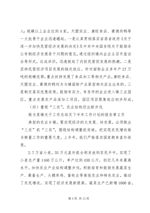 某镇关于工作总结及下半年工作计划的报告 (2).docx