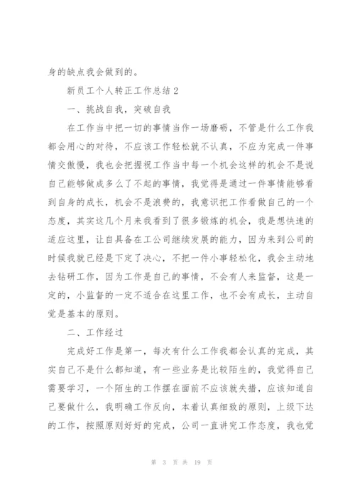 新员工个人转正工作总结.docx