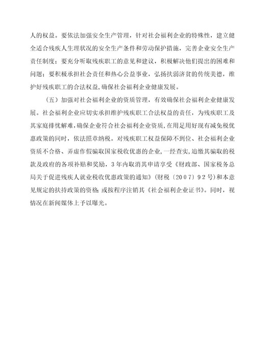 社会福利企业发展规划意见