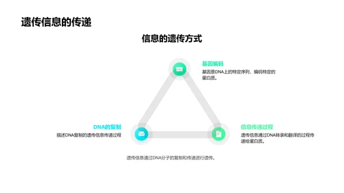 DNA序列解析研究