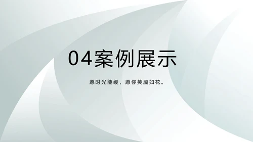 高端品牌介绍策划方案工作总结计划PPT